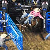 04 Roping & Rodeo